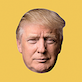 Trump Card icon